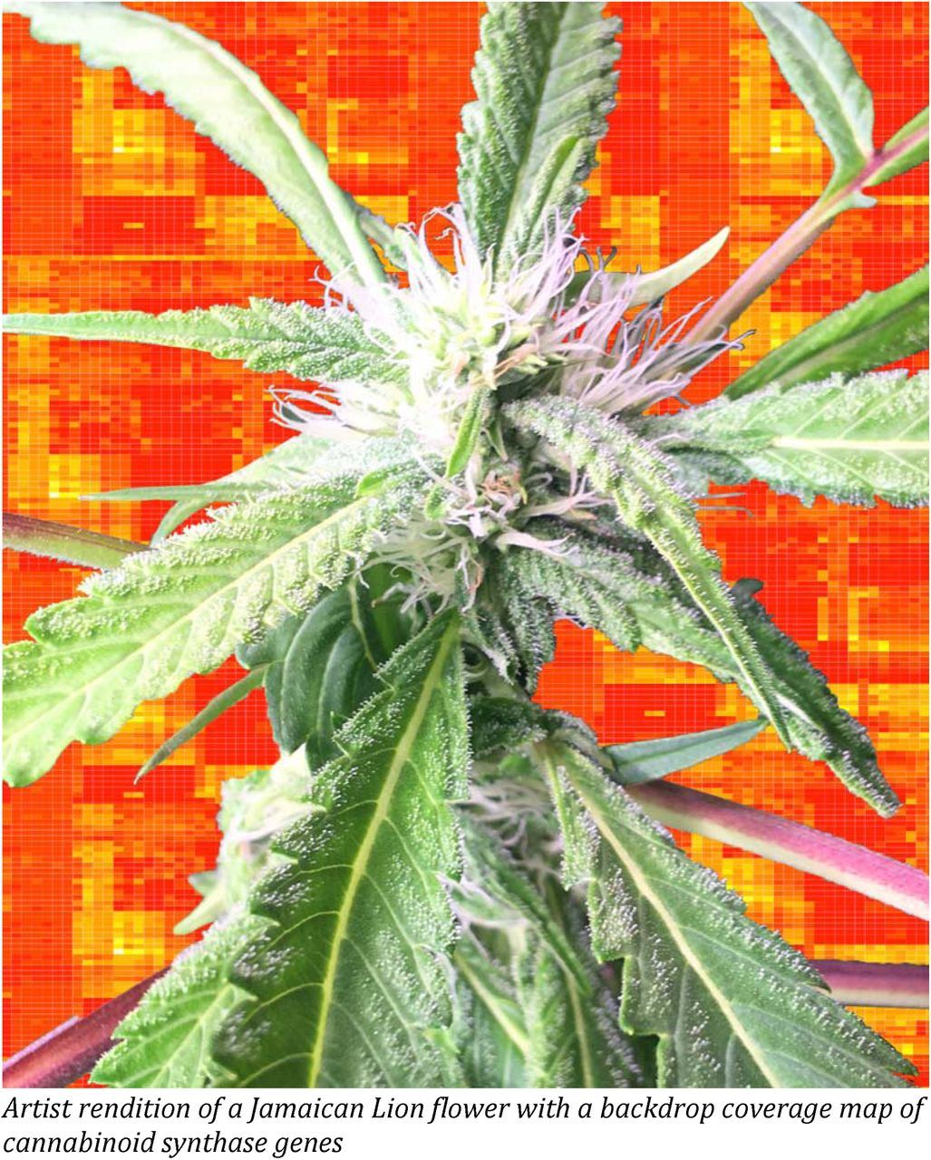 www.medicinalgenomics.com