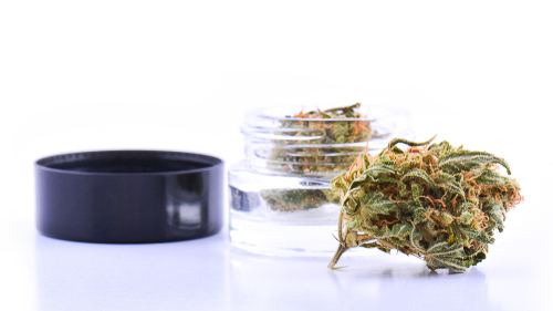 www.wikileaf.com