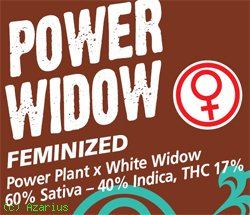green_label_power_widow.jpg