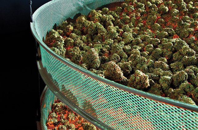 hightimes.com