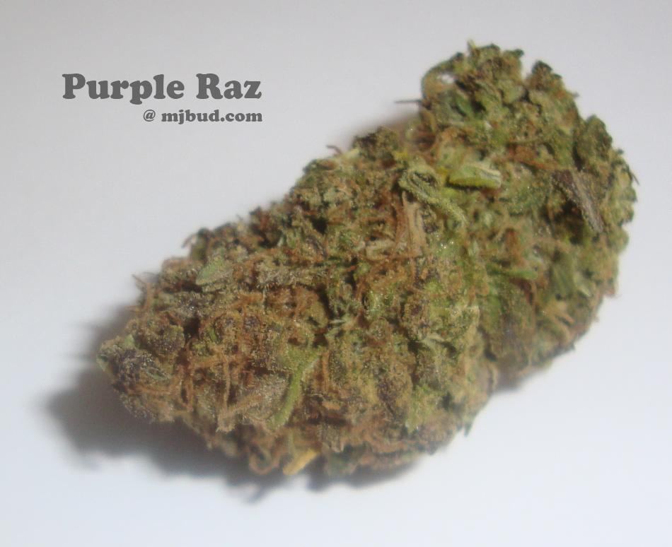 purpleRaz.jpg
