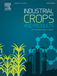 www.sciencedirect.com