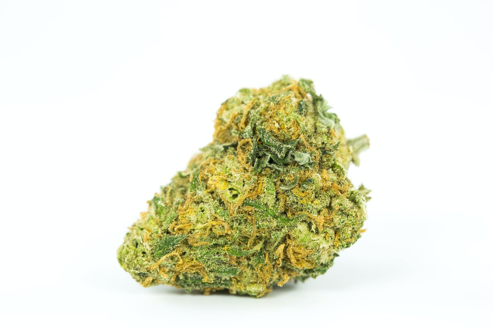 www.allbud.com