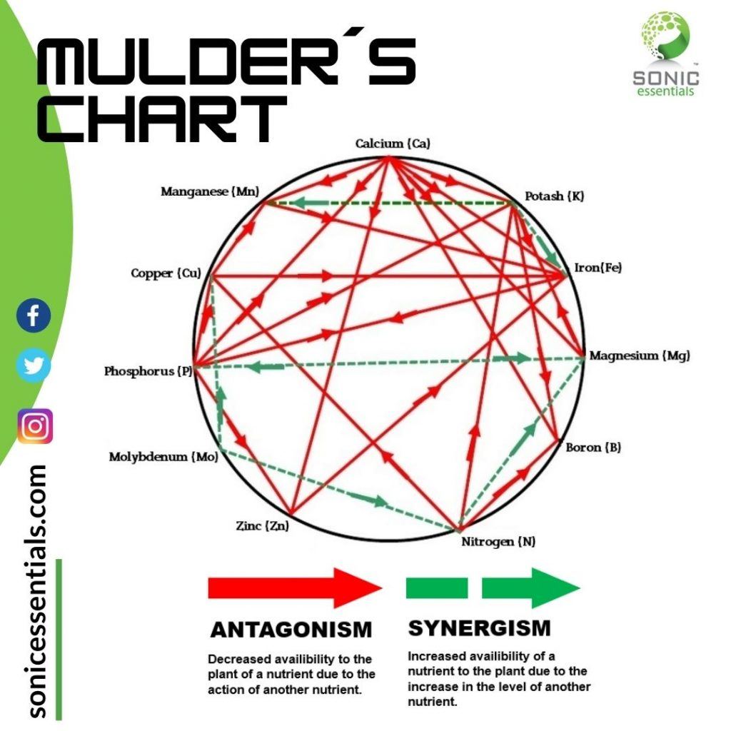 22_Mulder%C2%B4s-Chart-1024x1024.jpg