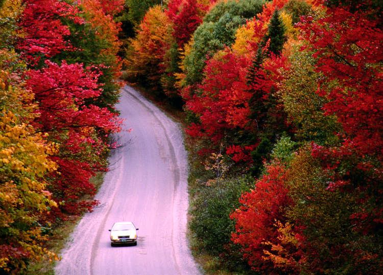 driving-through-spectacular-new-england-fall-foliage_cs.jpg