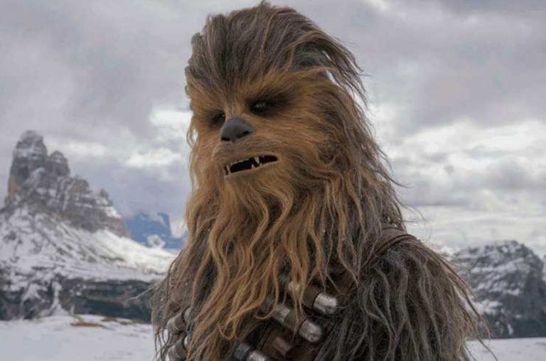 Chewbacca-768x508.jpg