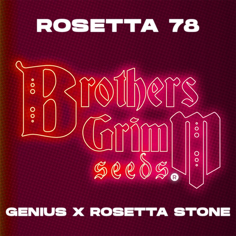 brothersgrimmseeds.com