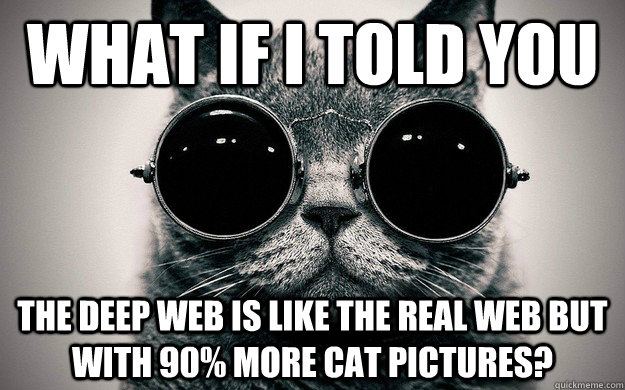 deep-web-cats.jpg