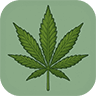 www.marijuanapassion.com