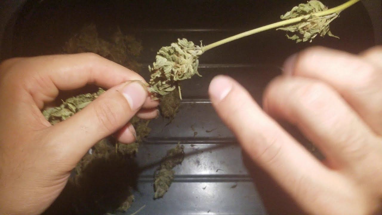 www.youtube.com