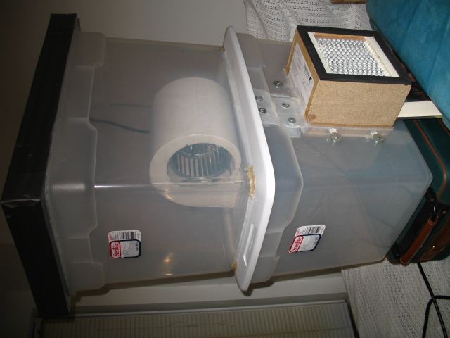post-5320-138184910709.jpg