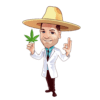 marijuanaseedconnect.com