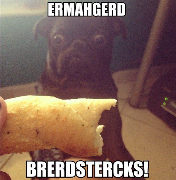 ermahgerd-brerdstercks-breadsticks-pug-ermahgerd-meme.jpg