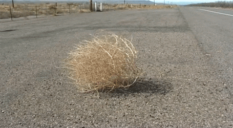 tumbleweed-acegif-31.gif