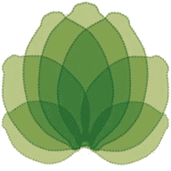 www.cannapot.com