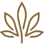 www.kivaconfections.com