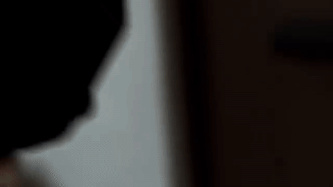 giphy.gif