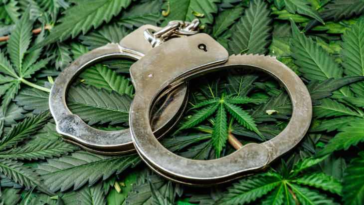norml.org