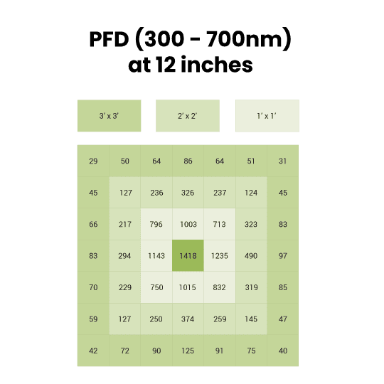 graph_right-2.png