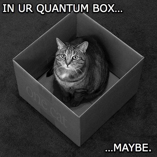 schrodingers-lolcat.jpg