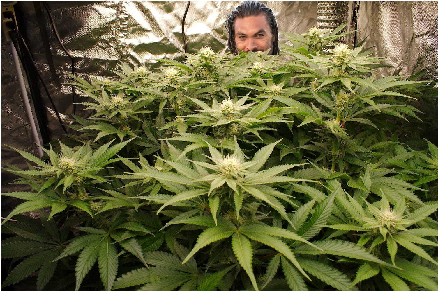 jamo.jpg