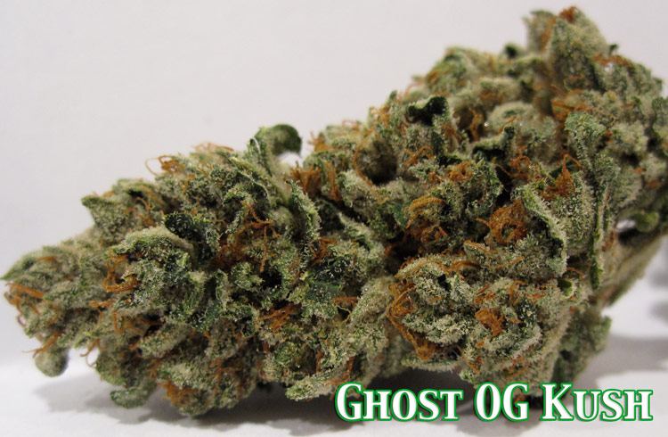 ghost_og_feb.jpg