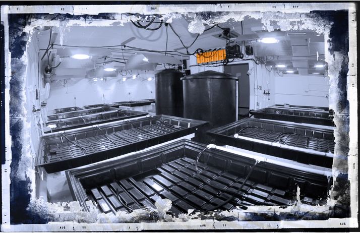 Indoor003.jpg