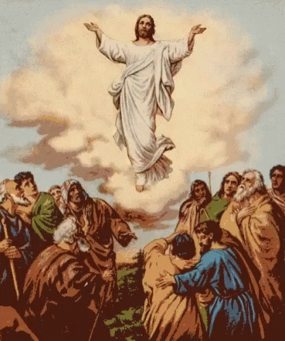 039d3a5363356247d286c98f5f236610.gif