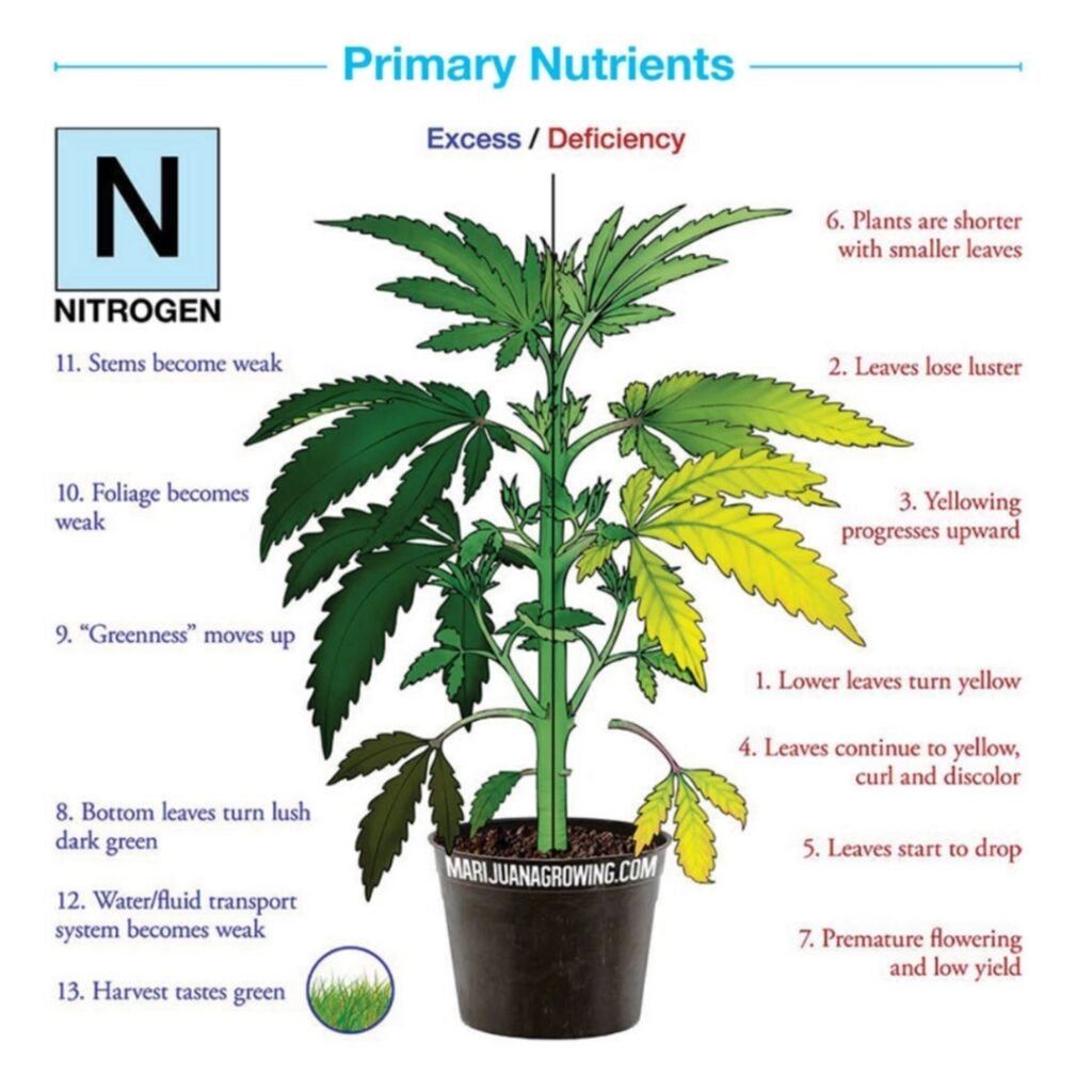 plantmedicinemama.ca