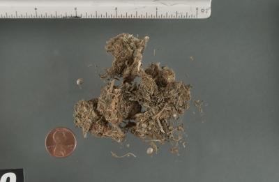 FR1306_A3Fig1.jpg