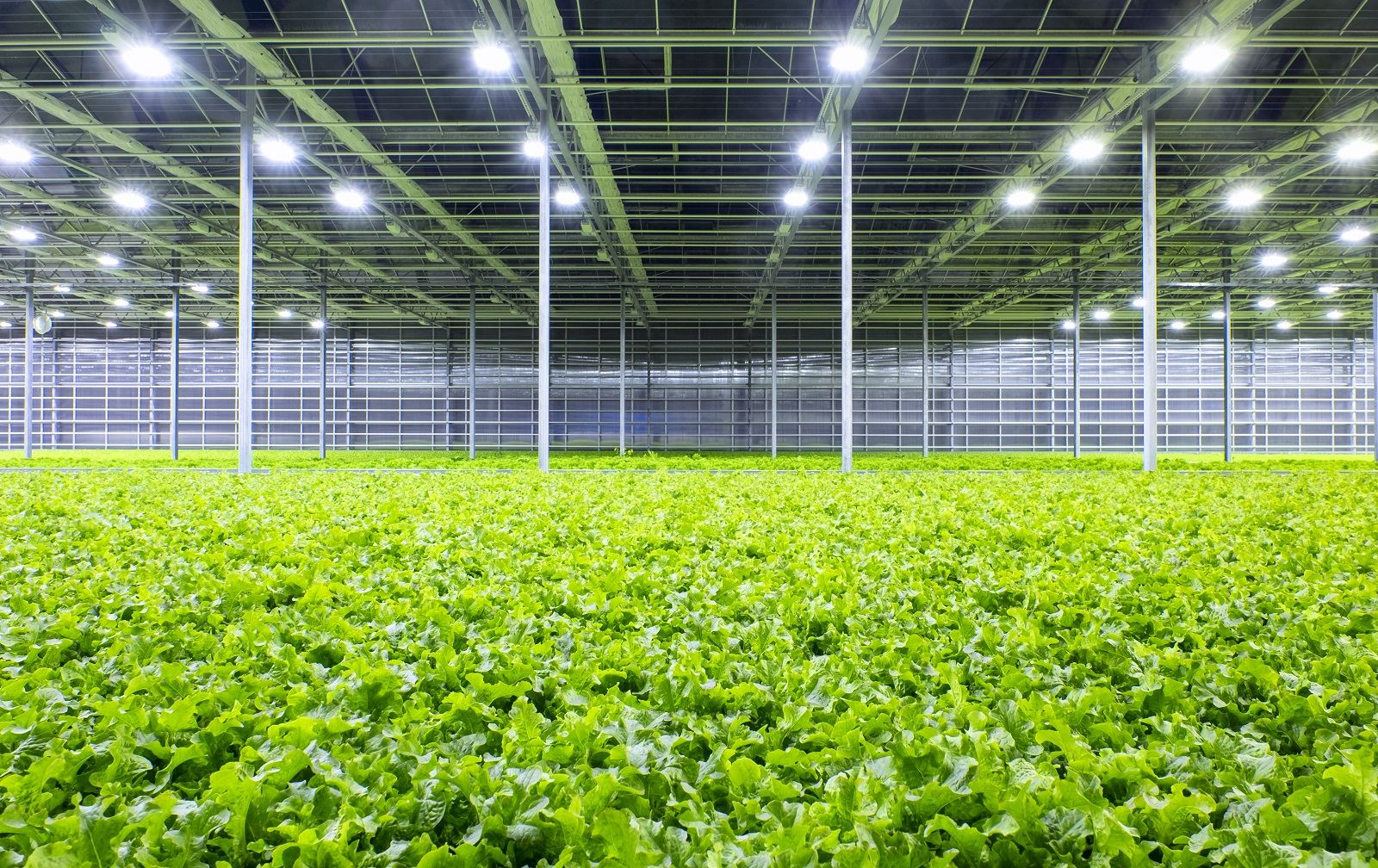 www.questclimate.com