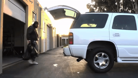 giphy.gif