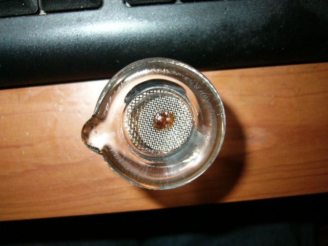 P1020321.JPG