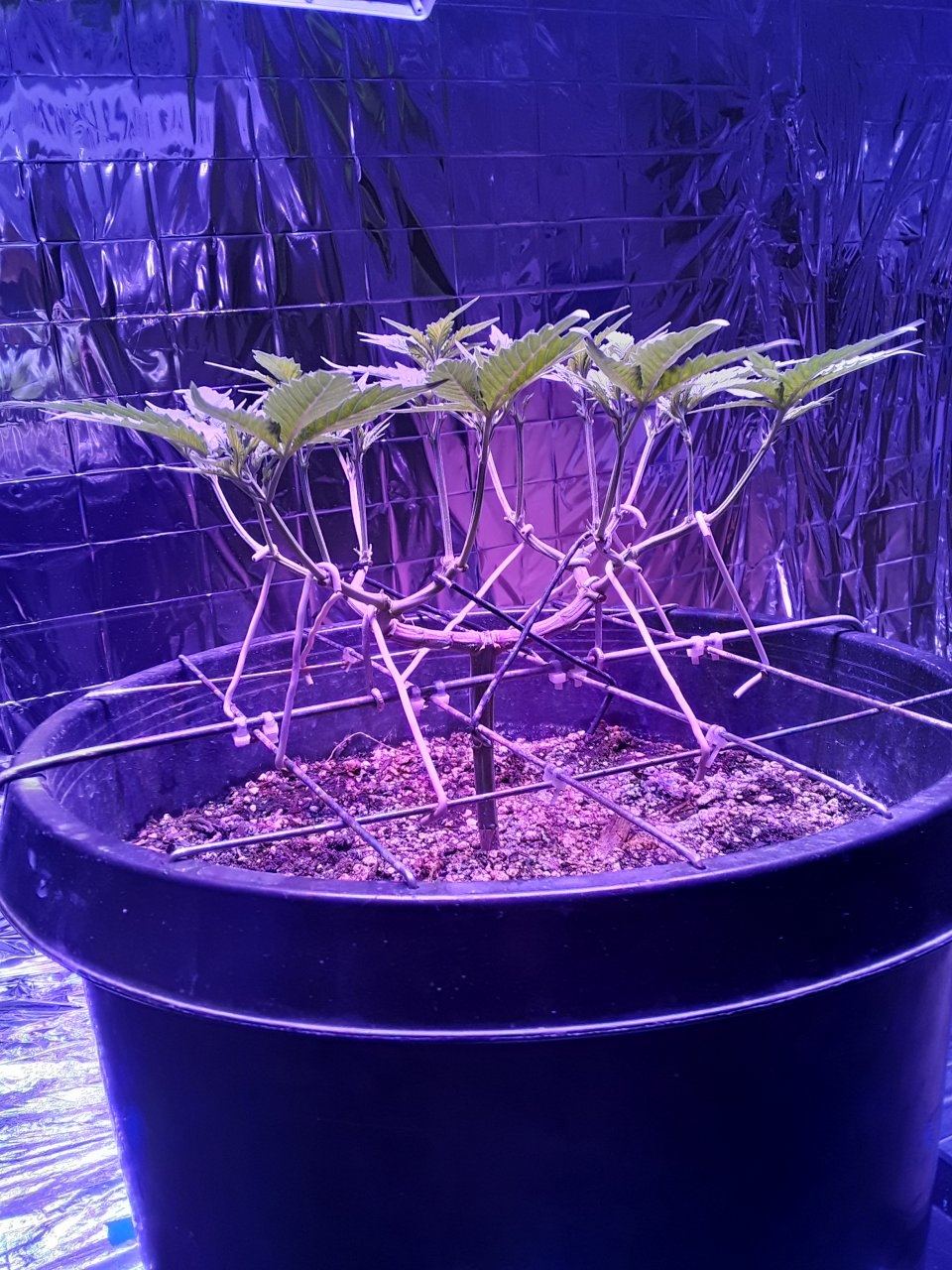 20190820_162911.jpg