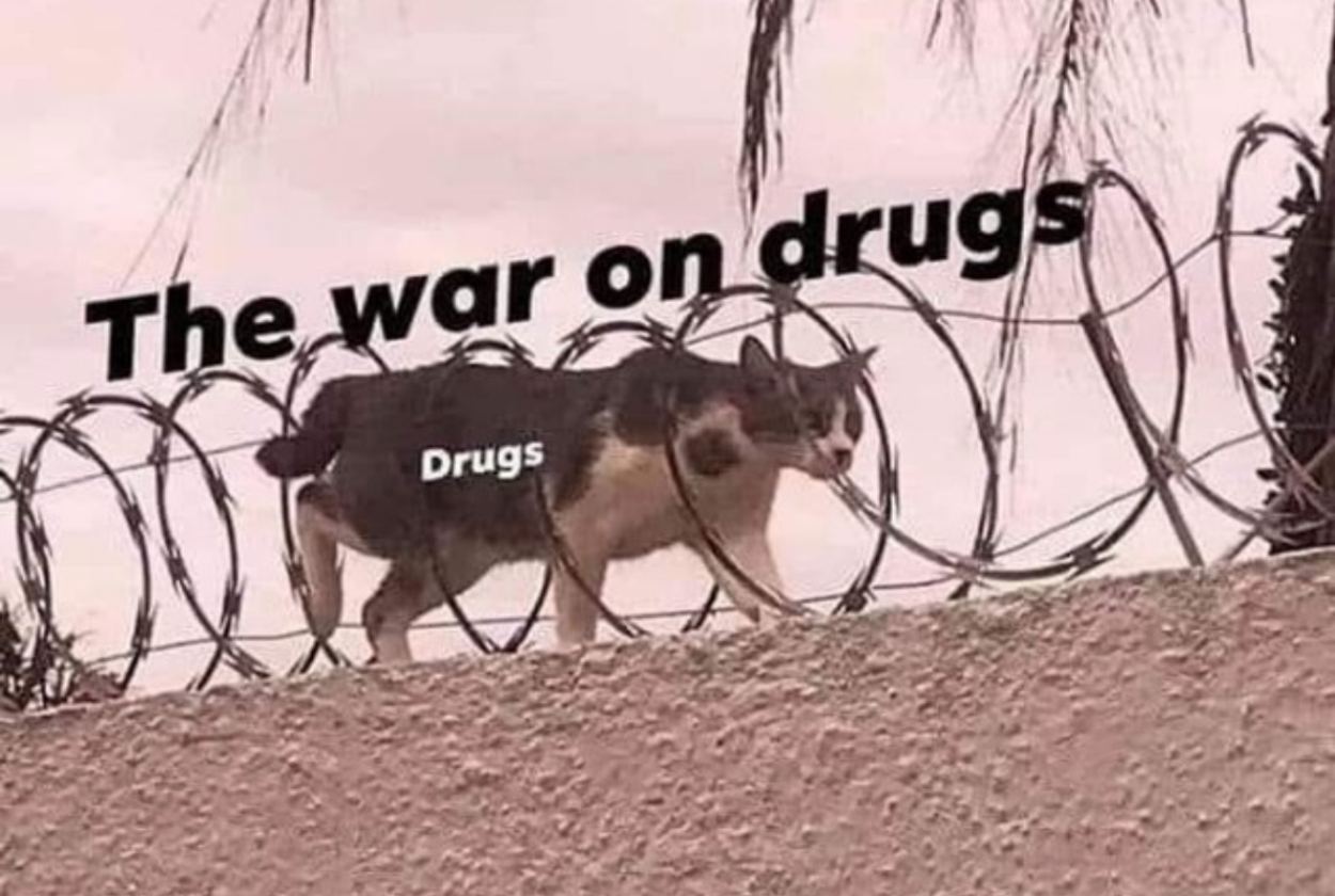 50-best-memes-drugs-war.jpg