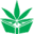 cannabistraininguniversity.com
