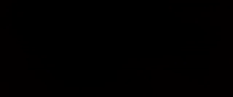 giphy.gif