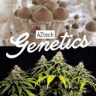 aztechsmokeshop.co.uk