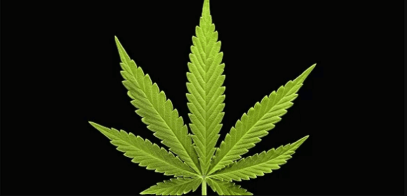 www.marijuana-guides.com