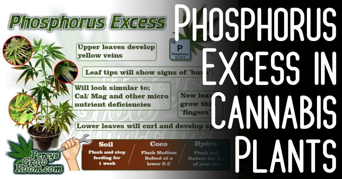 percysgrowroom.com