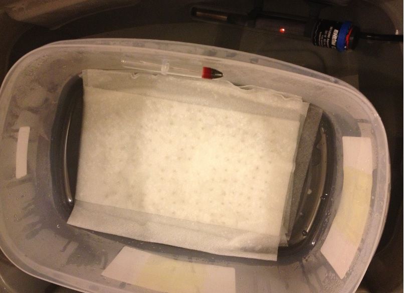 germ.jpg