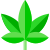 420arena.com