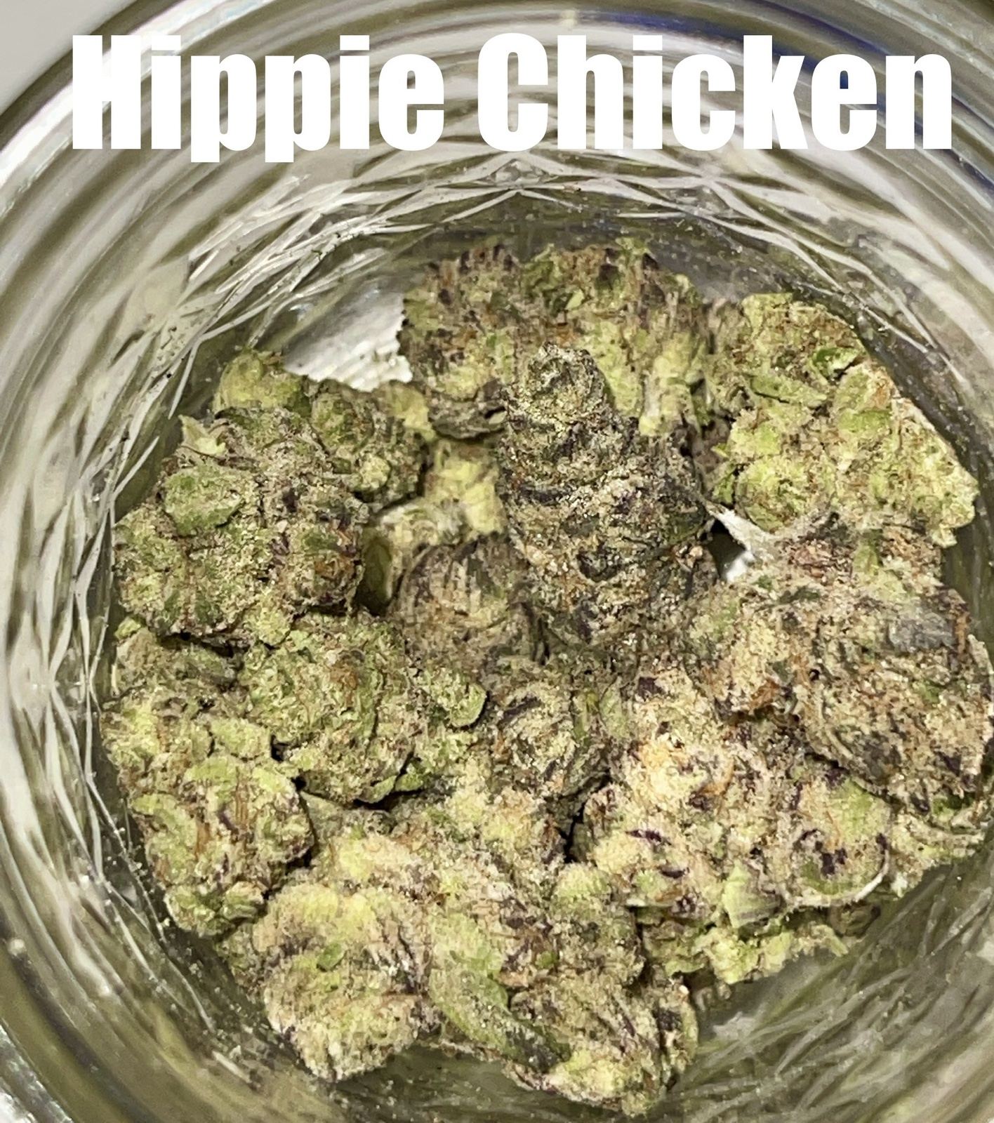 www.allbud.com