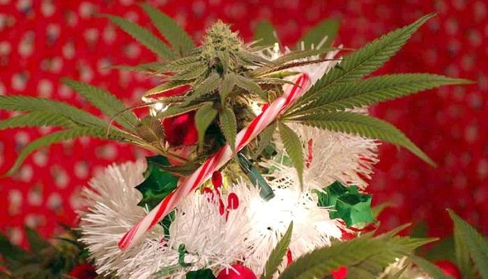 christmas-decor-feature.jpg