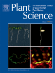 www.sciencedirect.com