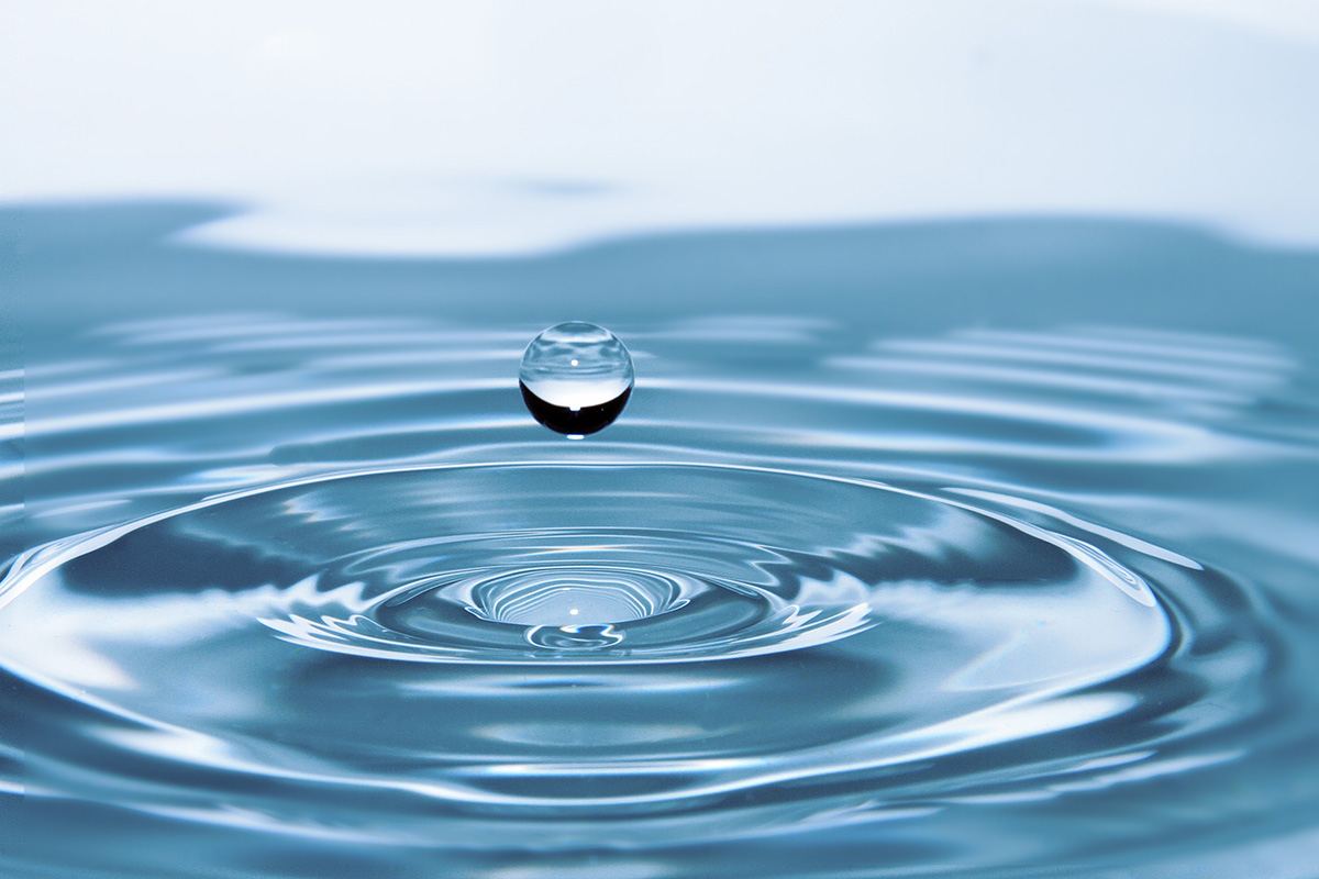 thehydroponicsstore.com