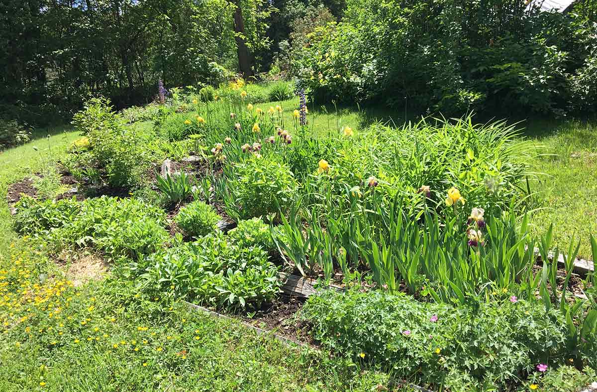 gardenculturemagazine.com