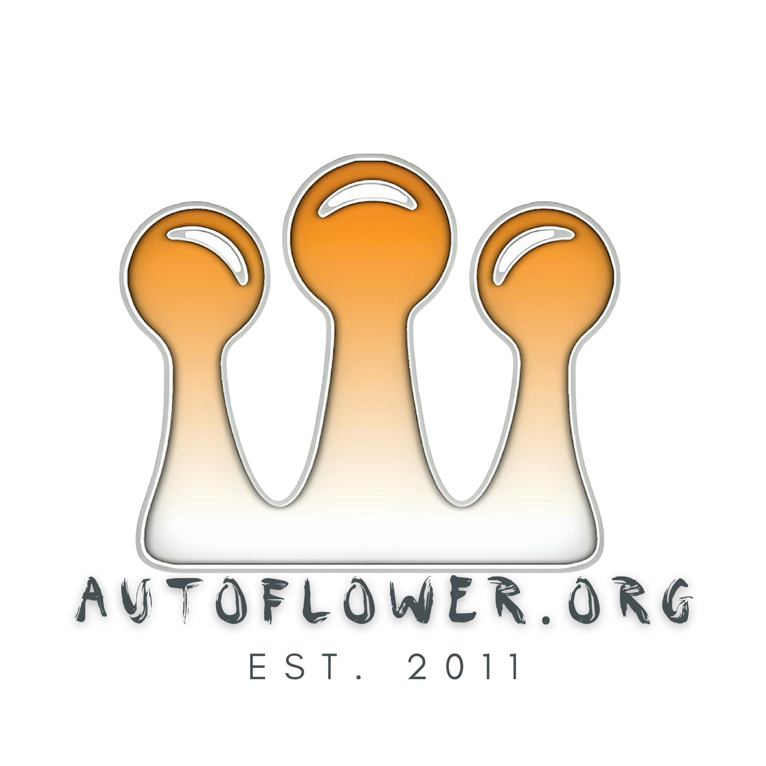 autoflowernetwork.community.forum