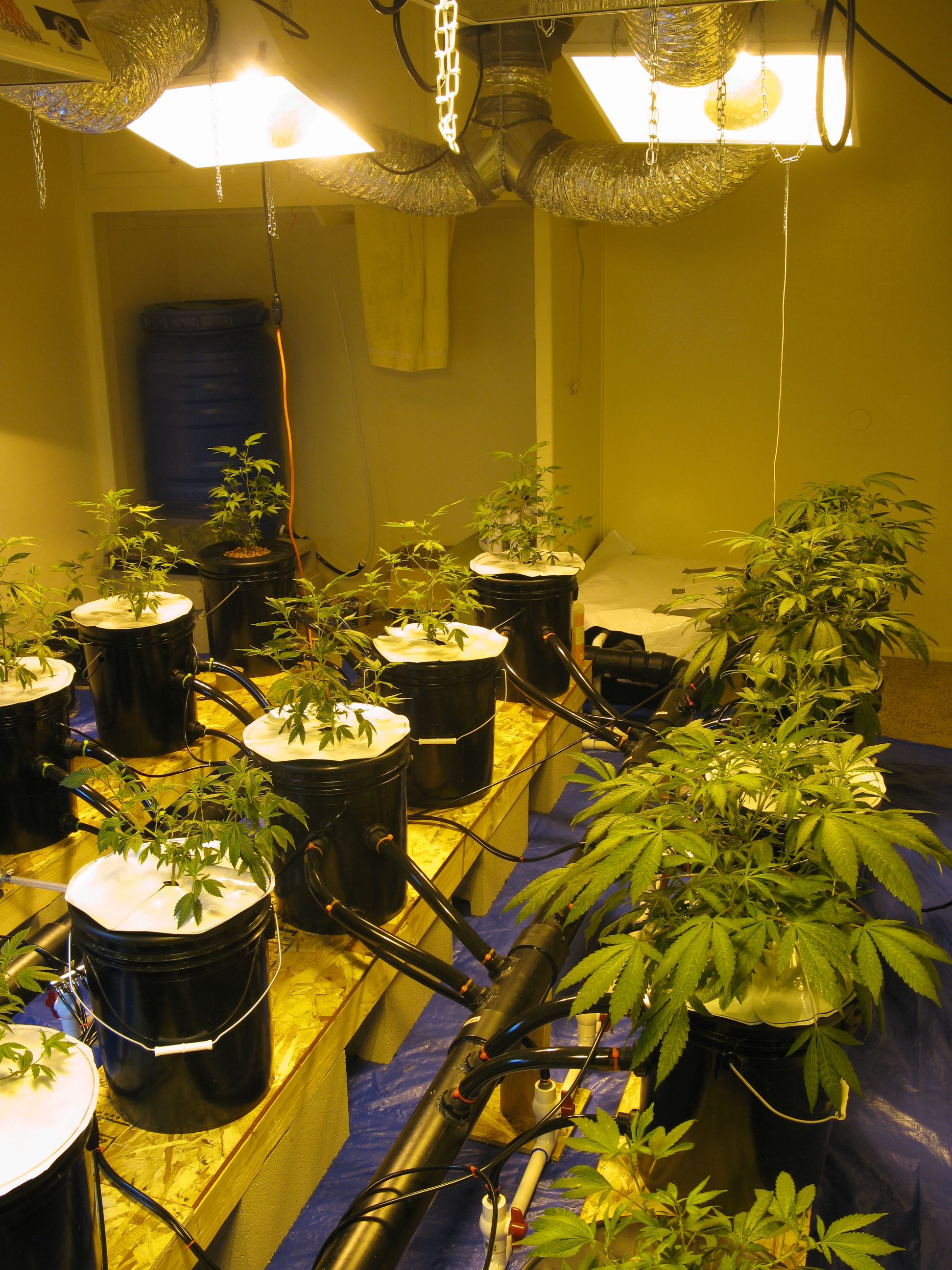 IMG_1056.JPG