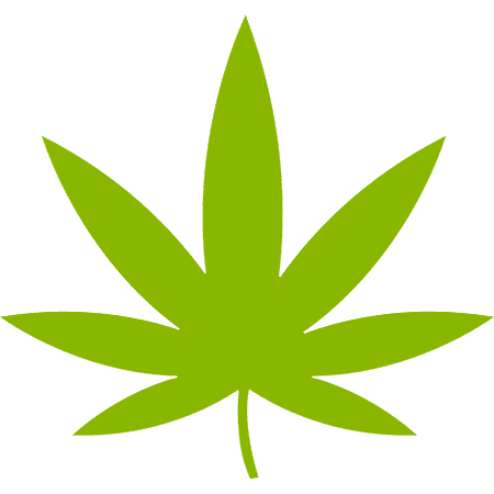 bigbudsmag.com